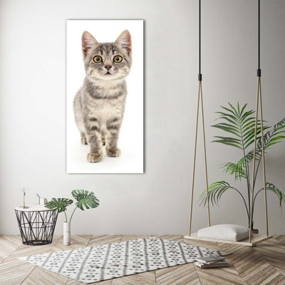 Grey Cat - Wrapped Canvas Print
