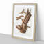 Flying Squirrels by J.W. Audubon - Framed Print-55576128-55576127