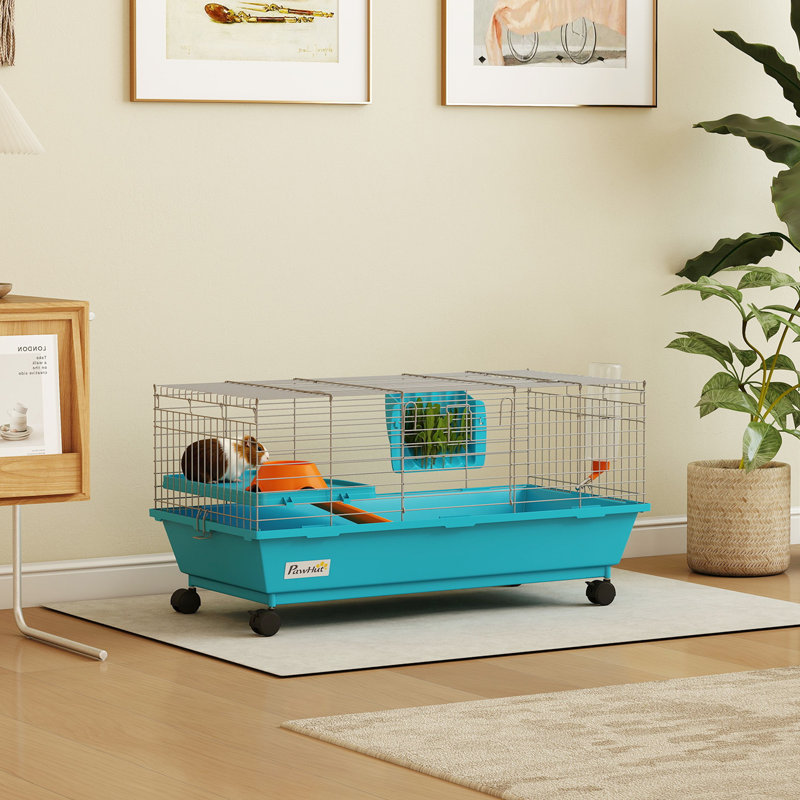 Rabbit, Guinea Pig, Chinchilla Cage