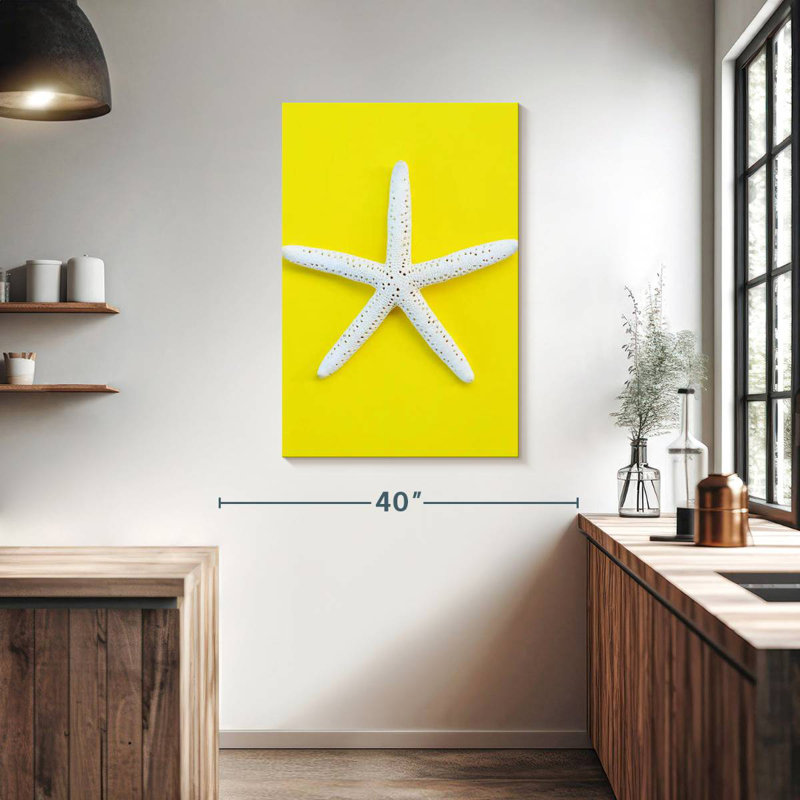 Brampt White Sea Star, 39" H x 26" W