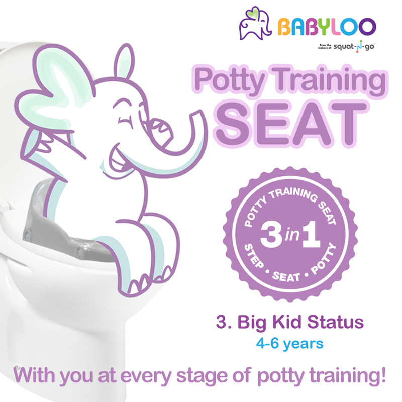 Toilet Safety Frame