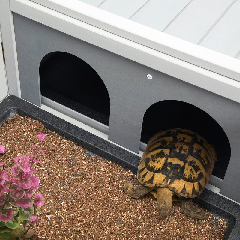 Habitat de tortues de terrarium Donovon