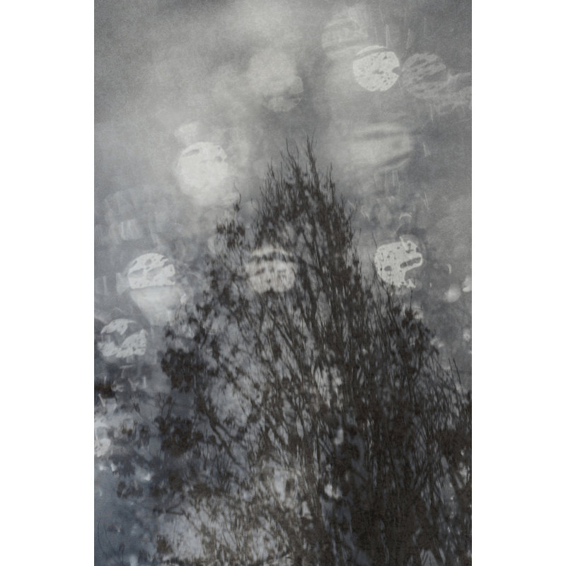 Wrapped Canvas Print, 76.2 cm H x 50.8 cm W
