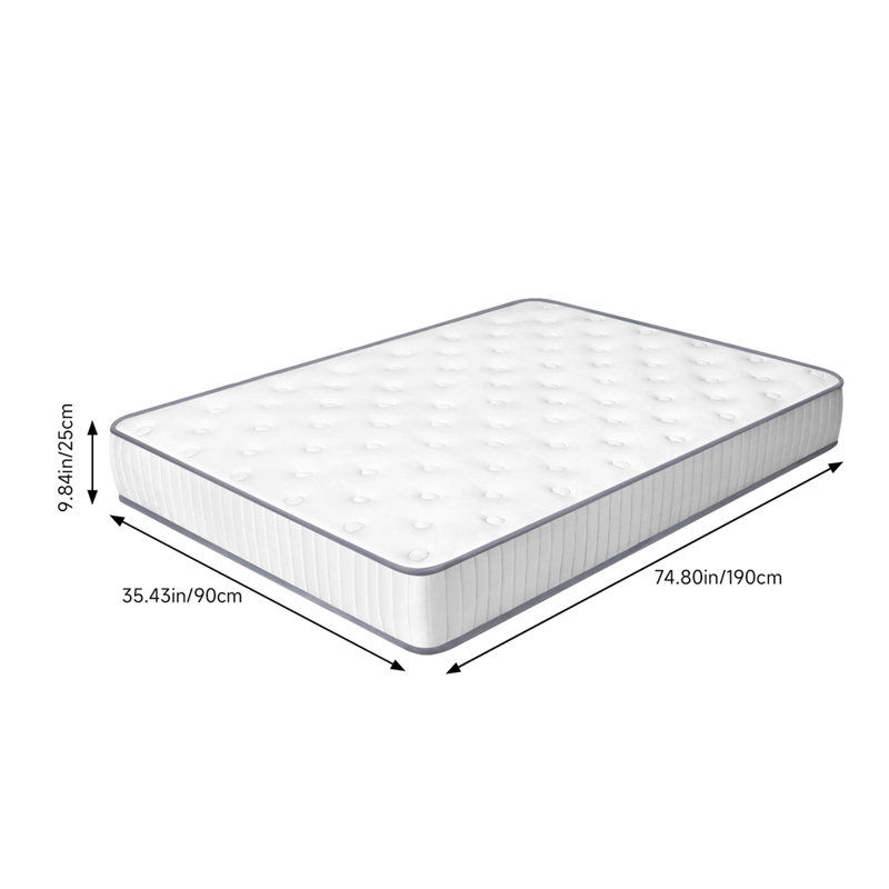 Breeins Foam Mattress, Single (3'), 25 cm
