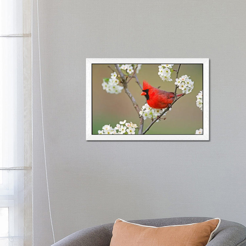 1 Piece Wall Art on Canvas, 66.04 cm H x 45.72 cm W, White Framed