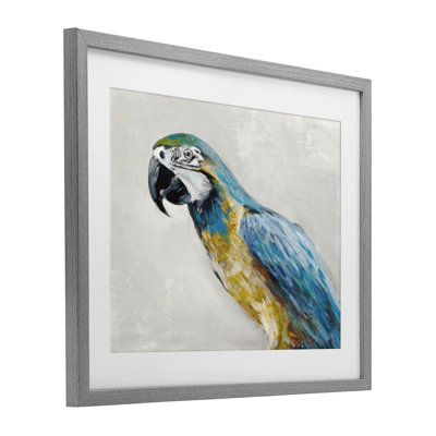 Polly Parrot Portrait, reproduction encadrée sous verre, conception de Jacob Q