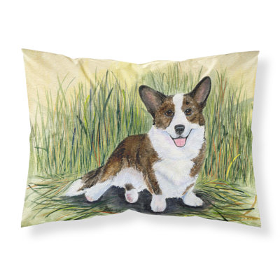 Microfiber