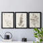 Neutral Botanical Study IV - Ensemble de 3 impressions sur toile encadrées-1770476222-1770476221