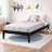 Marialana Contemporary Solid Wood Platform Bed with 13 Support Slats-2014991625-2014991620