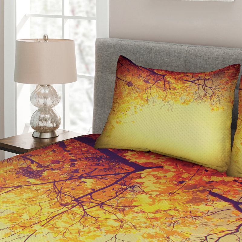 Farmhouse / Country Polyester Coverlet
