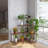 Camorah Plant Stand