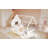 Carys Rustic House Bed With Fence And LED Lights-126134987