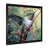 Black Single Picture Framed