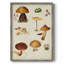 Reproduction encadrée champignon Mushroom Species II-1986737621