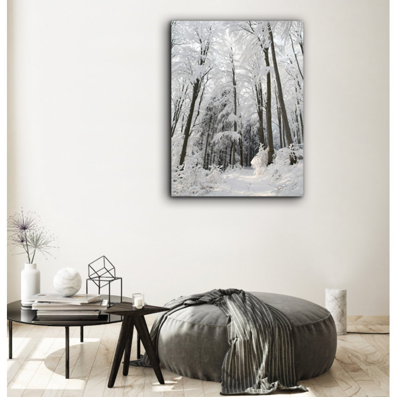 Snowy Path - Reproduction de photo sur toile tendue, H 30 po x l 40 po x p 1 po