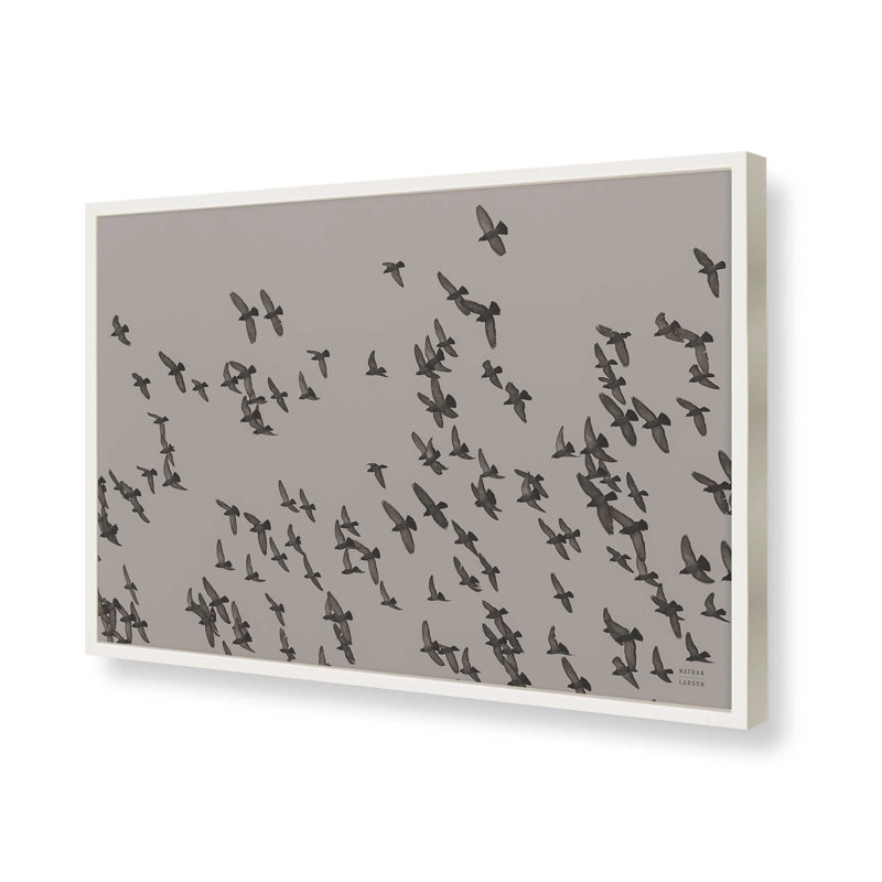 Flock II by Nathan Larson Art Print, 32" H x 48" W, White