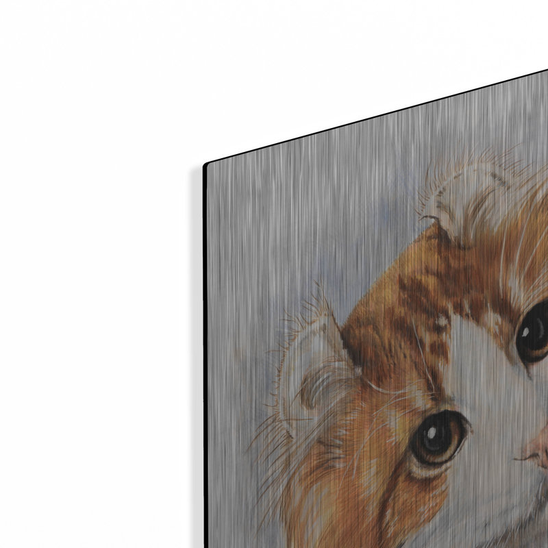 «American Curl 2» par Barbara Keith, H 24 po x l 16 po