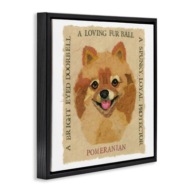 Fun Pomeranian Pet Phrases Framed Floater Canvas Wall Art by Nancy Overton