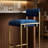 Dajha Upholstered Counter Stool with Metal Frame