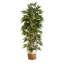 75'' Faux Bamboo Tree in Bamboo Planter