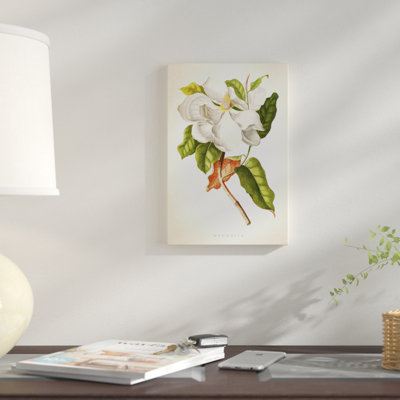 « magnolia botanique print i », impression sur toile