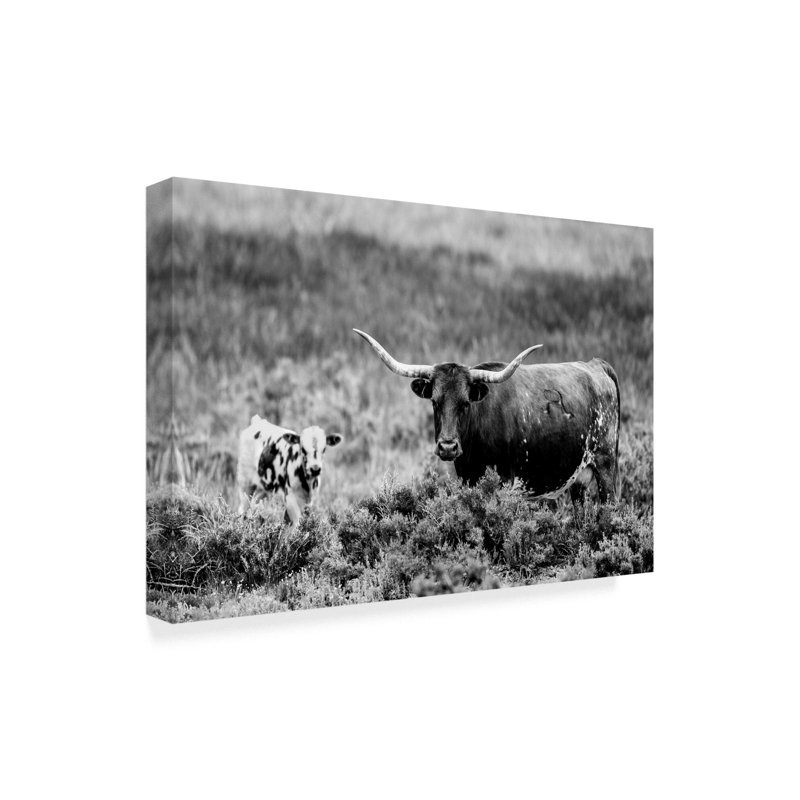 « b&w longhorn ii », photographie sur toile tendue, H 12 po x l 19 po x P 2 po