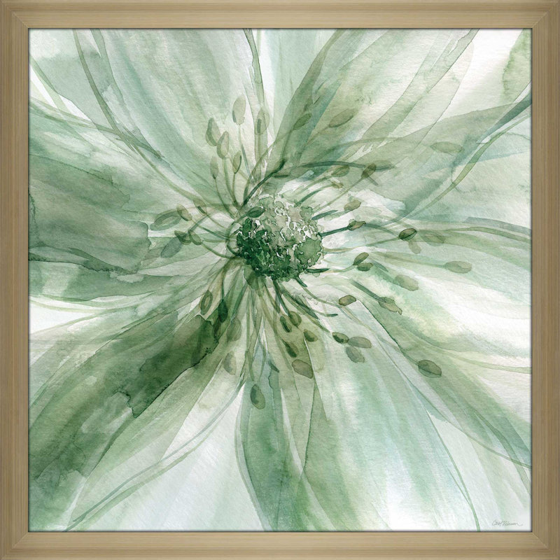 «Macro Sage Flower I» par Carol Robinson - reproduction de cadre photo, H 39,5 po x l 39,5 po x P 0,75 po