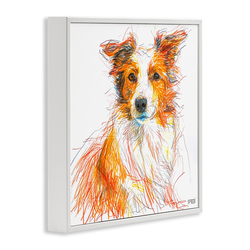 «Collie», croquis de giclée par Roozbeh Bahramali, Giclée encadrée blanc bord de mer, H 24 po x l 24 po