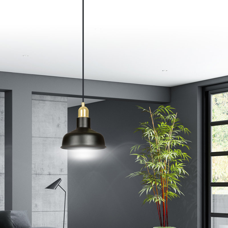 Greig 1 - Light Dome Pendant, Black