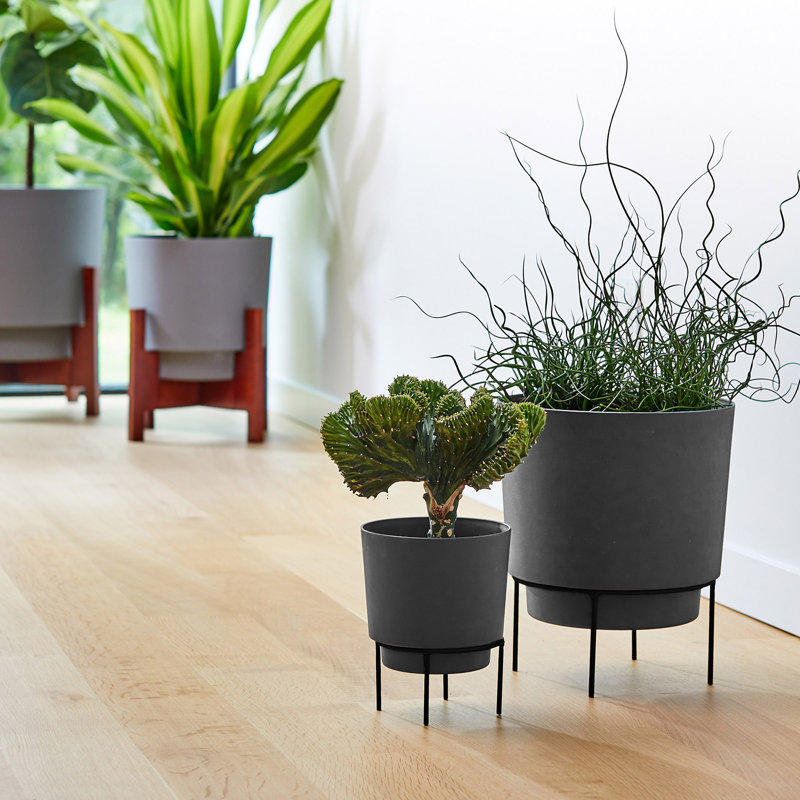 Pot à fleurs en résine Ebern, H 7,5 po x l 6 po x P 6 po, Noir et or