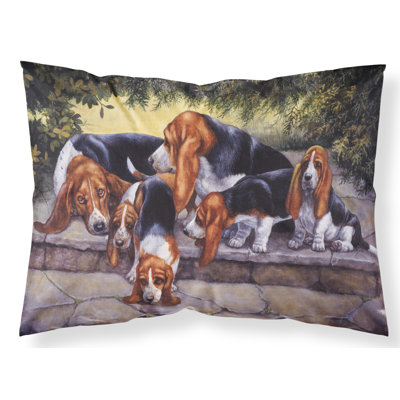 Basset Microfiber