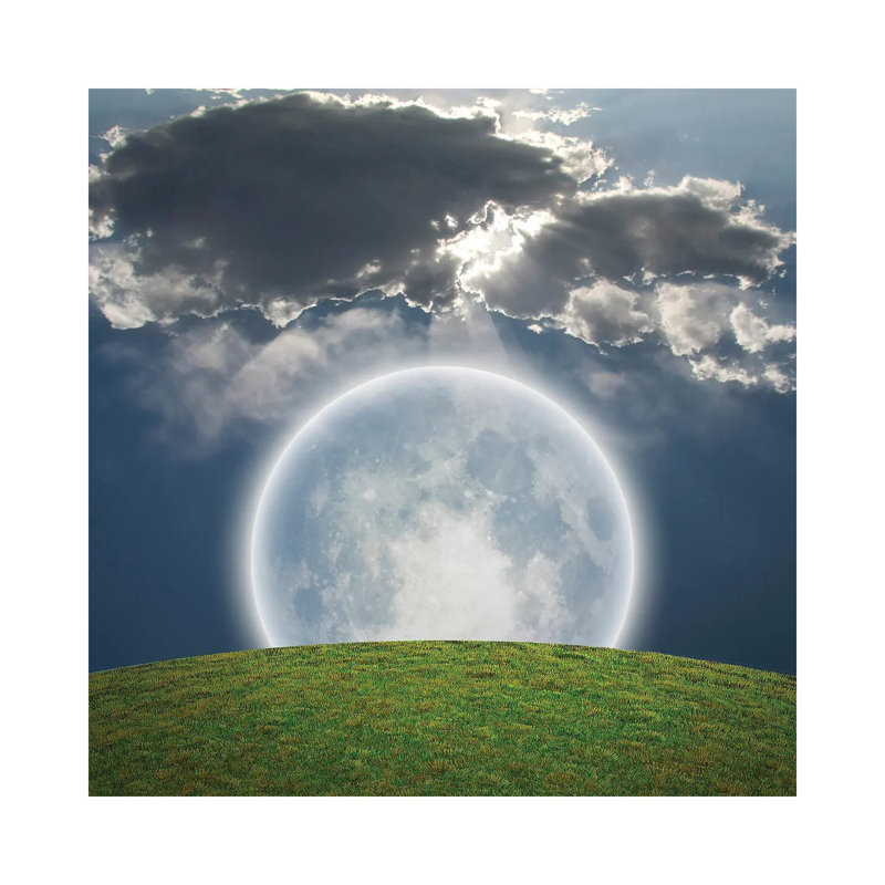 Giant Bright Moon, Green Field by Bruce Rolff - Wrapped Canvas Print, 66.04 cm H x 66.04 cm W x 3.175 cm D