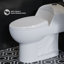 Toilette allongée une pièce à double chasse 1,1 / 1,6 gallon Chateau-44638028
