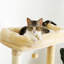 Arbre à chat en sisal-328226338