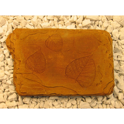 Fossil Stepping Stone
