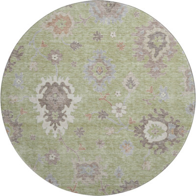 Premium Machine Washable Prisco Aloe Rug