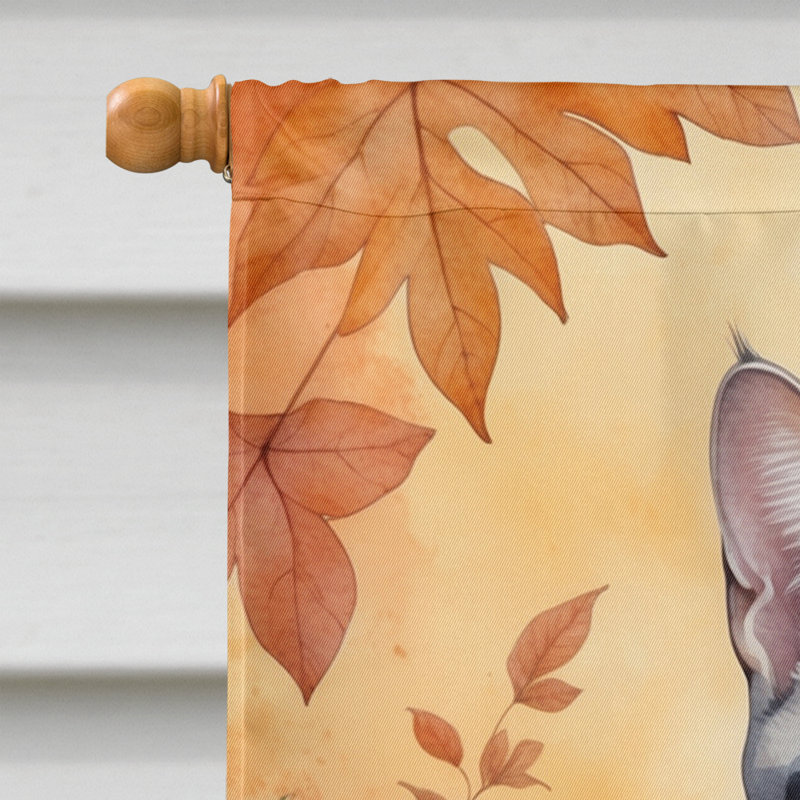 Chat en feuilles d'automne, Mau égyptien