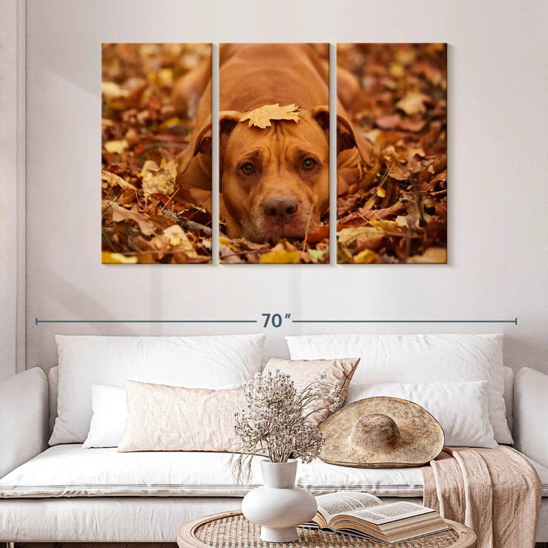 Mignon Pitbull d'automne, H 32 po x l 50 po