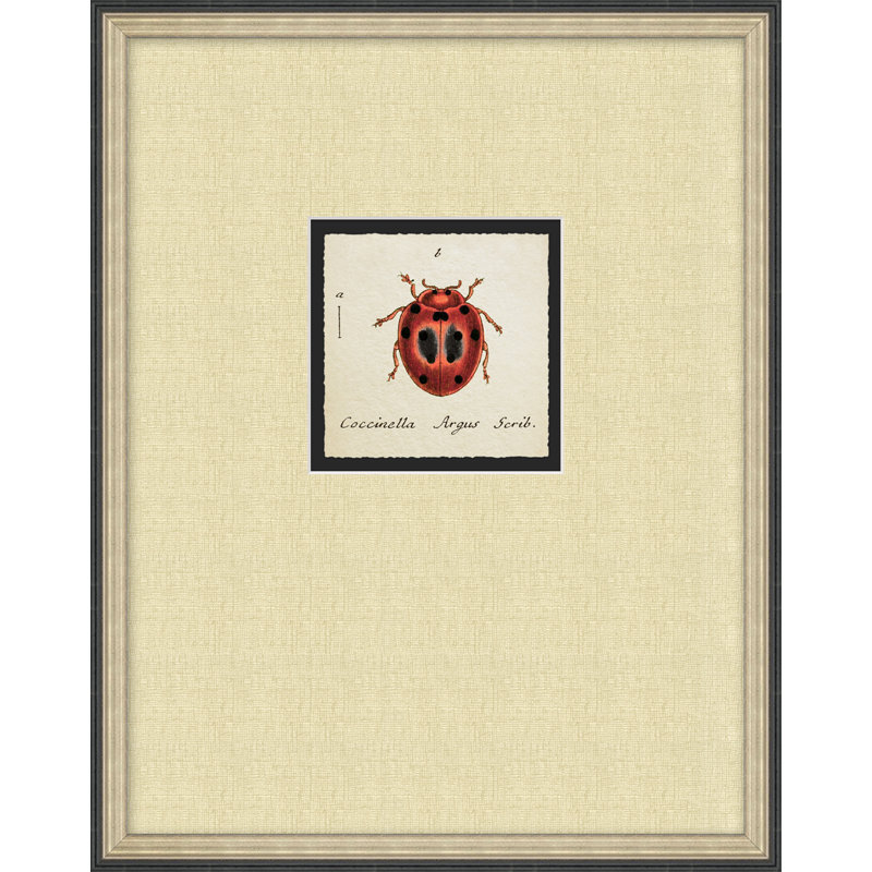Lady Bug 2 Print