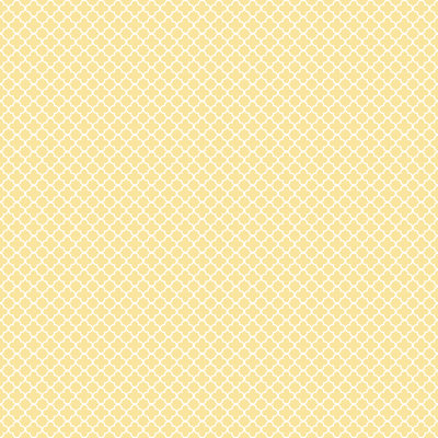 Franklinville 10m x 53cm Matte Wallpaper Roll