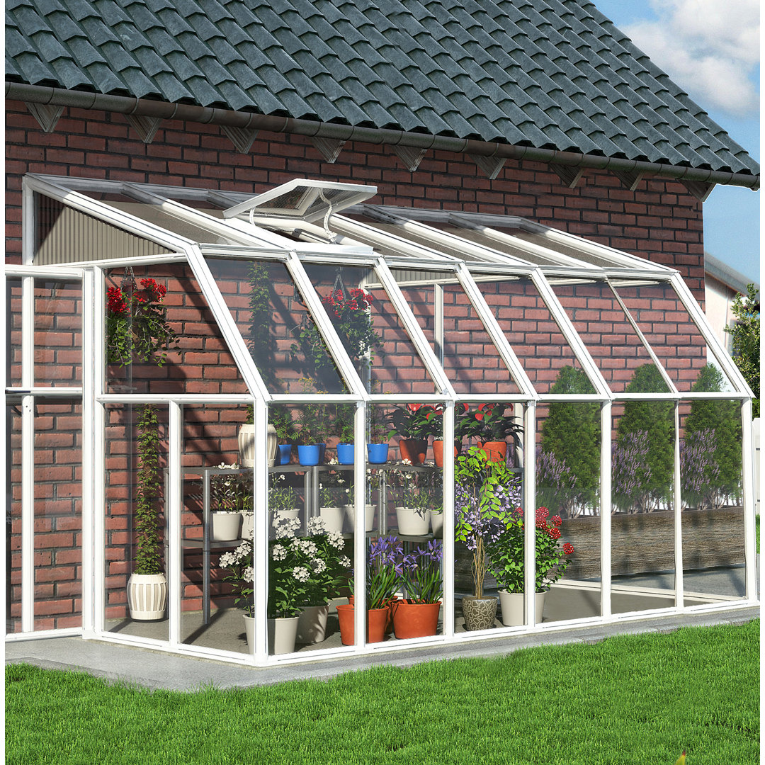 Rion 6.5 Ft W x 12.5 Ft D Lean-to Greenhouse