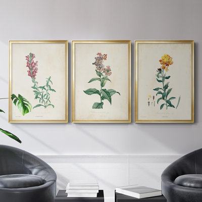 Toile encadrée de qualité supérieure Traditional Botanical I - prête à être accrochée