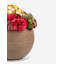 Elias Sedum Arrangement-960222571
