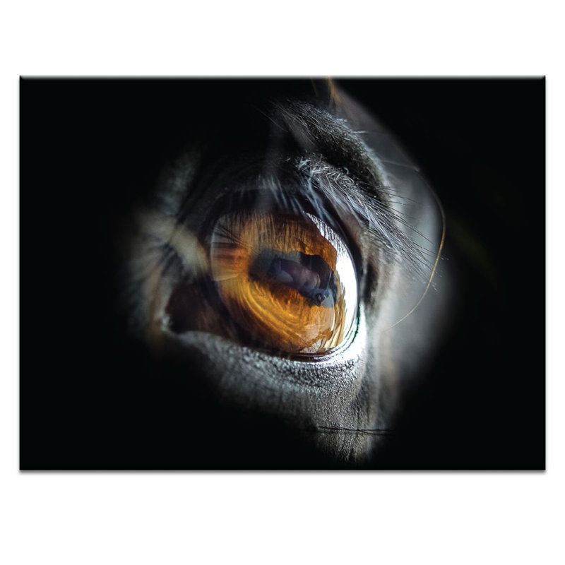 Photographers Lane - Wrapped Canvas Print, 51cm H x 41cm W