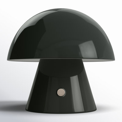 Xyanna Metal Desk Lamp