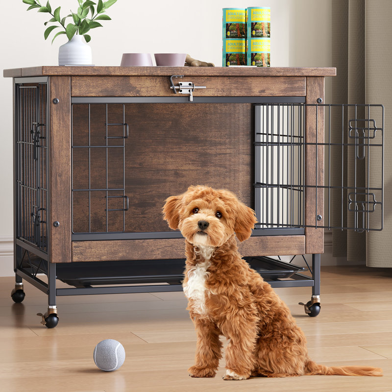Dog House