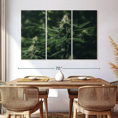 Harnek Fresh Marijuana