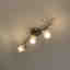 Photos des clients 2 de 2