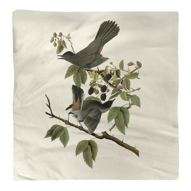 John James Audubon Cotton No Pattern Square Napkin, Off-White
