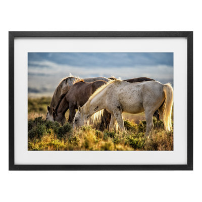 Equine Evening Graze Framed Print Under Glass, design by Tim West